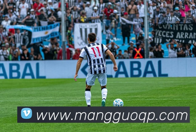 芒果棋牌APP 高清赛事图